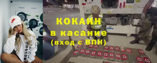 сатива Козельск