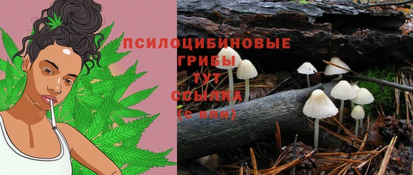 соль ск Куйбышев