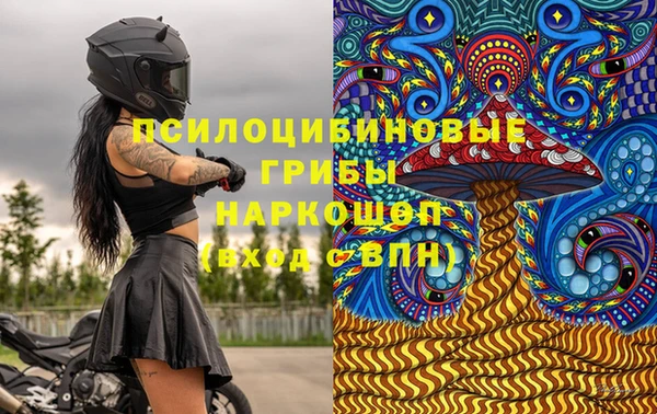 не бодяженный Кукмор