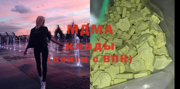 ГАЛЛЮЦИНОГЕННЫЕ ГРИБЫ Козловка
